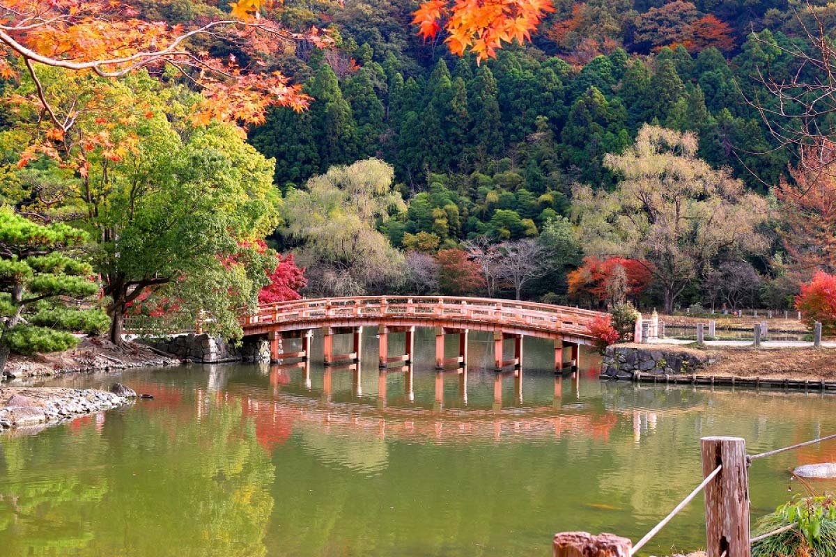 🏞️ 흰 물의 연못 (시라미즈노이케) 이미지 4